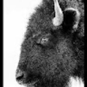 Meet your Posher, Shani